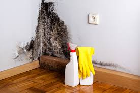 Best Water Damage & Mold Remediation in Pagedale, MO